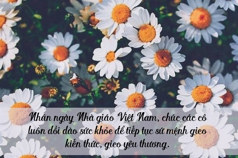loi chuc 2011 y nghia va an tuong nhat danh tang co giao mam non