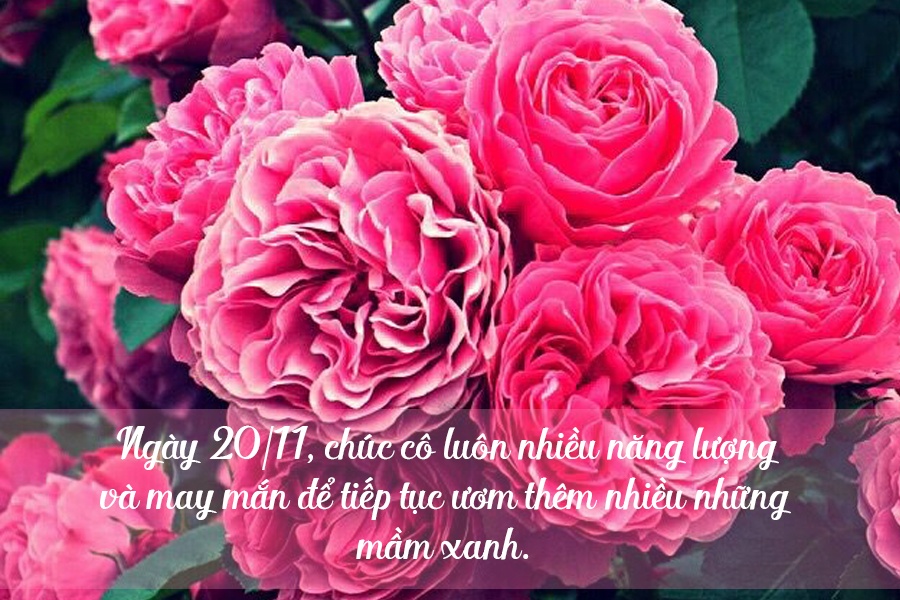 loi chuc 2011 y nghia va an tuong nhat danh tang co giao mam non
