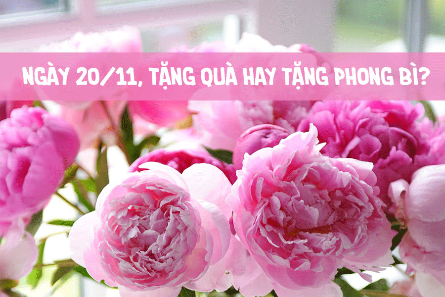 ngay 2011 nen cho con tang qua hay tang phong bi thay co