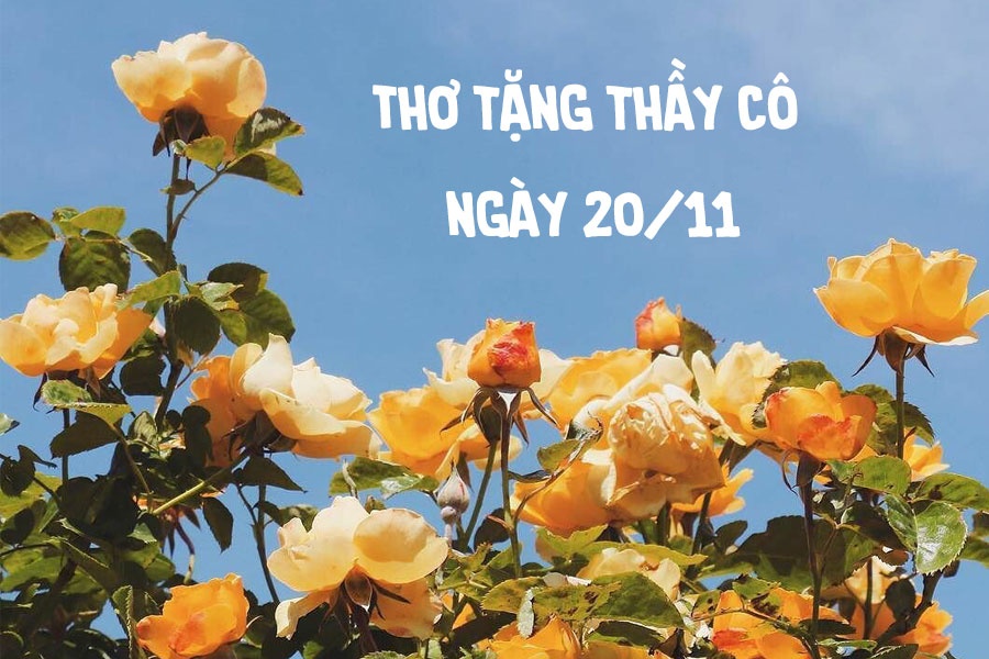 nhung bai tho 2011 ngan tri an thay co ngay nha giao viet nam