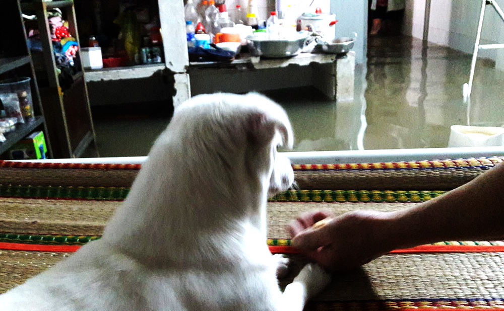 mua ngap lich su o tphcm ran ret boi vao nha an tiec cuoi trong bien nuoc