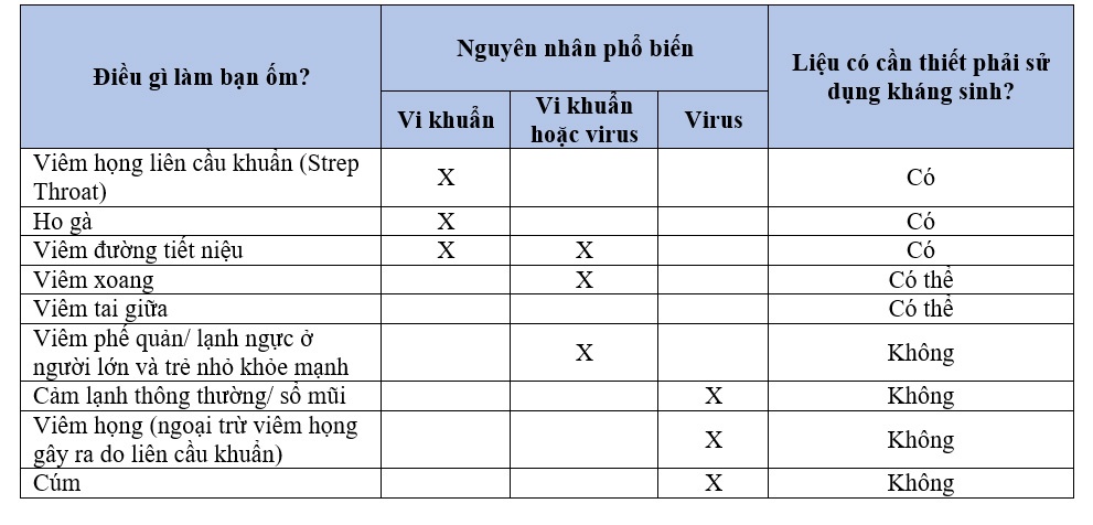 nuoi con khong dung thuoc khang sinh va loi khuyen tu bac si collin