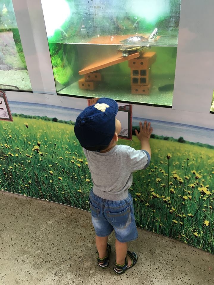 nhat ky cua mot ba me yeu montessori
