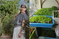 ban cong nho xiu nhung du hoa la va rau sach o quan 2 tp hcm