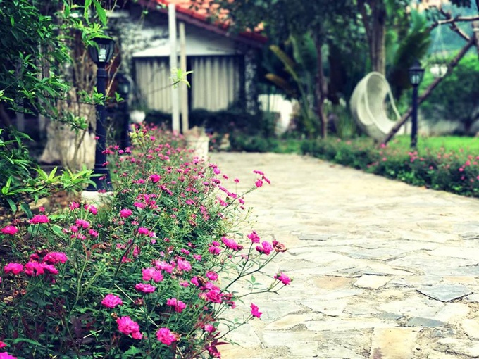 doi hoa hong trong nha vuon phong cach resort cua btv truyen hinh