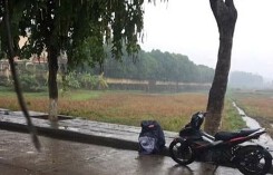 Chàng trai khóc dưới mưa 3 tiếng sau khi bạn gái bỏ vì đi xe số?