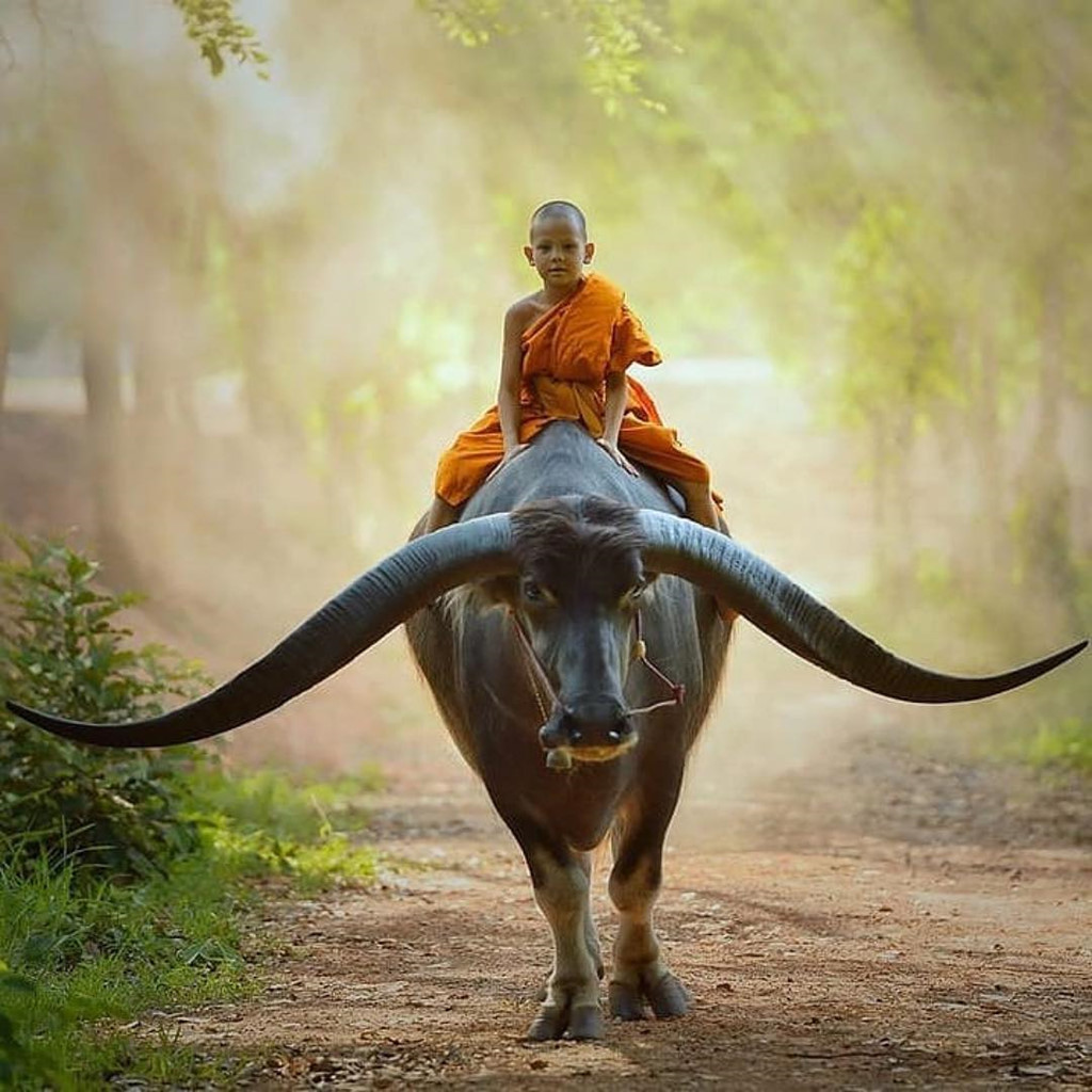 goi y tim ve gia re di thai lan nhat ban dip tet duong lich