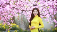 dia diem chinh thuc dien ra dai tiec am nhac va anh sang countdown 2019