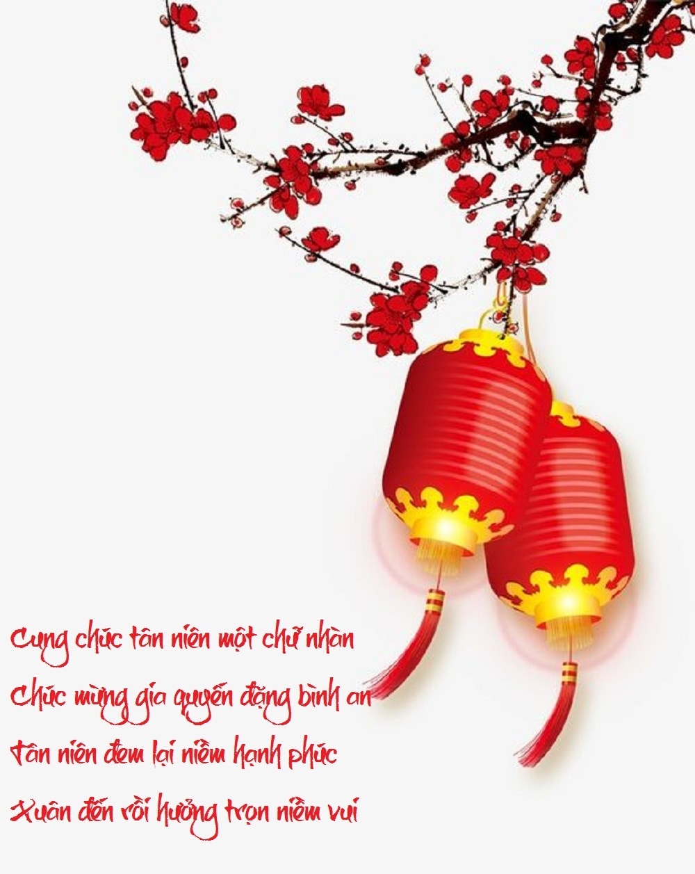 bo suu tap loi chuc tet va thiep chuc mung nam moi 2019 dep va doc dao