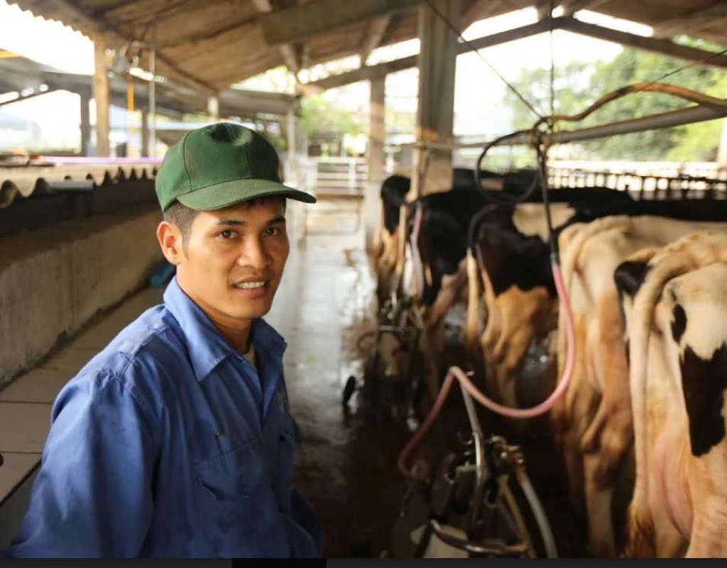 hiem co viet nam thi tran 600 ty phu lai oto dao tham bo