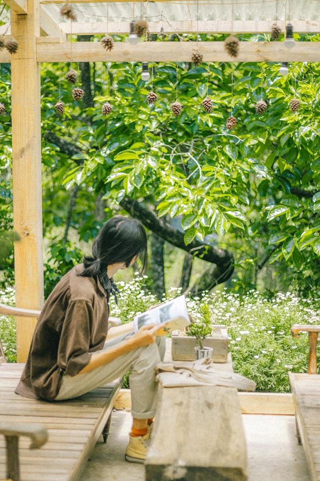Bỏ lại thị thành, cùng nhiếp ảnh gia 8X đến Đà Lạt tìm an yên 3 ngày 2 đêm chỉ với 1,5 triệu đồng bo lai thi thanh cung nhiep anh gia 8x den da lat tim an yen 3 ngay 2 dem chi voi 15 trieu dong