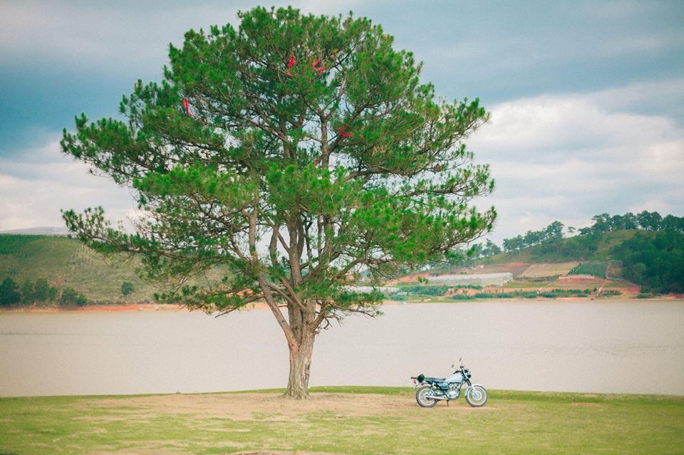 Bỏ lại thị thành, cùng nhiếp ảnh gia 8X đến Đà Lạt tìm an yên 3 ngày 2 đêm chỉ với 1,5 triệu đồng bo lai thi thanh cung nhiep anh gia 8x den da lat tim an yen 3 ngay 2 dem chi voi 15 trieu dong