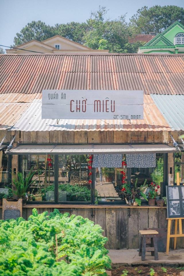 Bỏ lại thị thành, cùng nhiếp ảnh gia 8X đến Đà Lạt tìm an yên 3 ngày 2 đêm chỉ với 1,5 triệu đồng bo lai thi thanh cung nhiep anh gia 8x den da lat tim an yen 3 ngay 2 dem chi voi 15 trieu dong