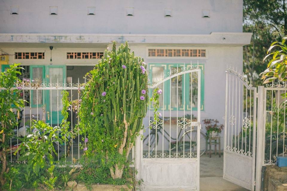 Bỏ lại thị thành, cùng nhiếp ảnh gia 8X đến Đà Lạt tìm an yên 3 ngày 2 đêm chỉ với 1,5 triệu đồng bo lai thi thanh cung nhiep anh gia 8x den da lat tim an yen 3 ngay 2 dem chi voi 15 trieu dong