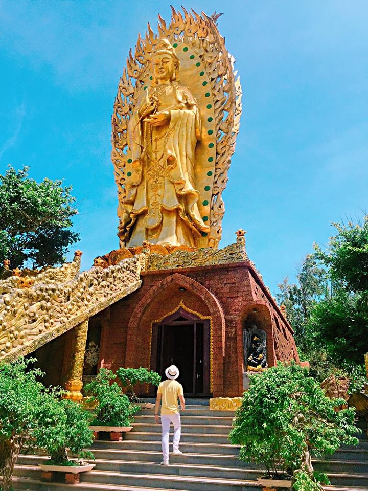cung gau vi vu khap quy nhon 3 ngay 2 dem chi voi 12 trieu dong