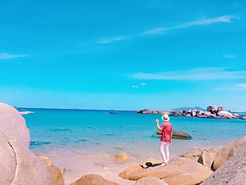 cung gau vi vu khap quy nhon 3 ngay 2 dem chi voi 12 trieu dong