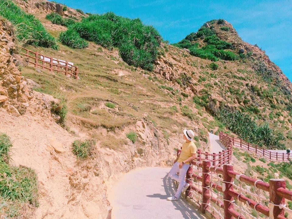 cung gau vi vu khap quy nhon 3 ngay 2 dem chi voi 12 trieu dong