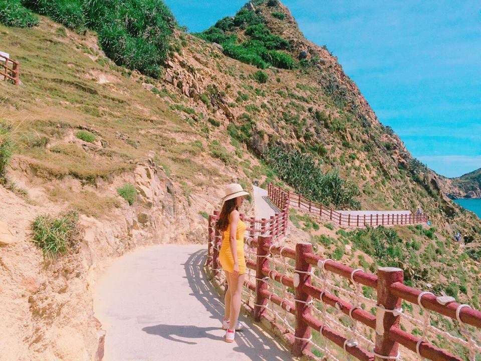 cung gau vi vu khap quy nhon 3 ngay 2 dem chi voi 12 trieu dong