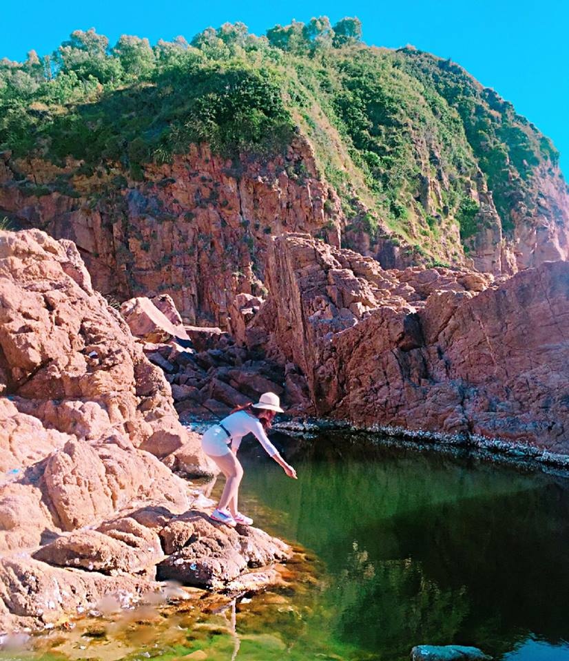 cung gau vi vu khap quy nhon 3 ngay 2 dem chi voi 12 trieu dong