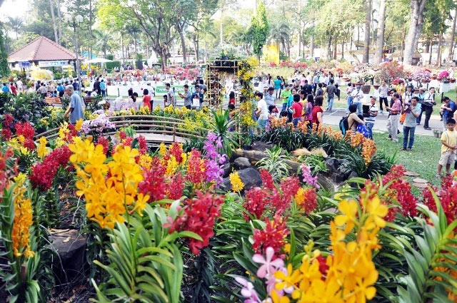 nhung duong hoa xuan dep nuc long dip tet nguyen dan ky hoi
