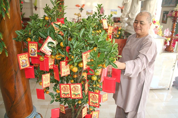 nhung kieng ki trong viec hai loc dau nam de khong ruoc xui xeo ve nha