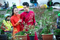 cach dat dao quat dung phong thuy dip tet 2019 phu qui at tu den