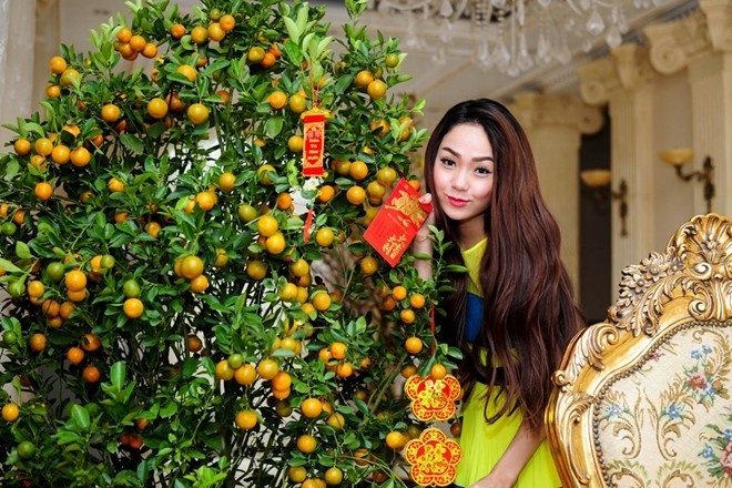 cach dat dao quat dung phong thuy dip tet 2019 phu qui at tu den