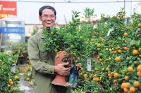 dien trang phuc mau gi hop phong thuy lay hen tet ky hoi