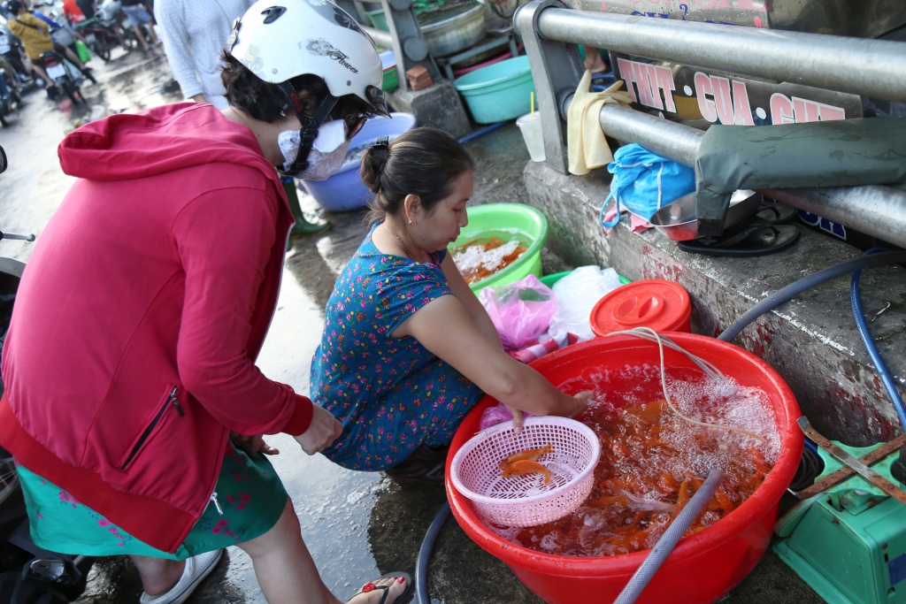 ca chep dau don ve troi ngay 23 thang chap vi bi tha tu thanh cau kem cat lu huong