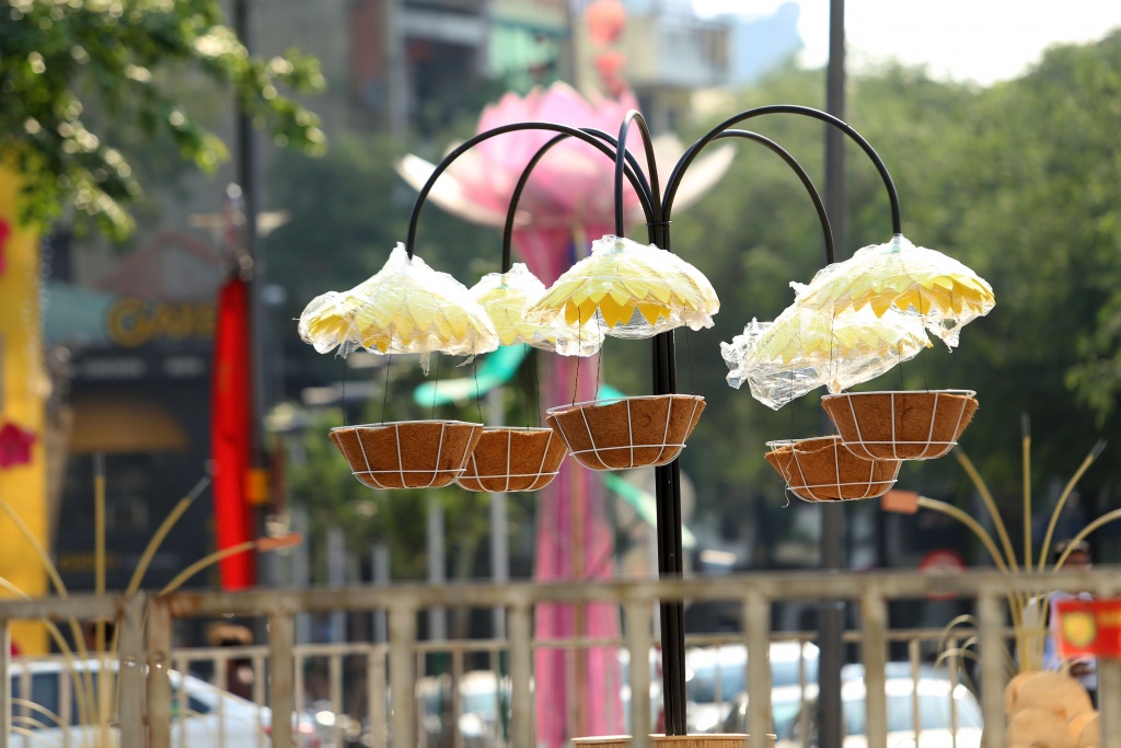 Hé lộ những hình ảnh đầu tiên về đường hoa Nguyễn Huệ Tết Kỷ Hợi 2019 he lo nhung hinh anh dau tien ve duong hoa nguyen hue dip tet am lich 2019