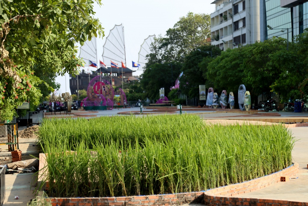 Hé lộ những hình ảnh đầu tiên về đường hoa Nguyễn Huệ Tết Kỷ Hợi 2019 he lo nhung hinh anh dau tien ve duong hoa nguyen hue dip tet am lich 2019