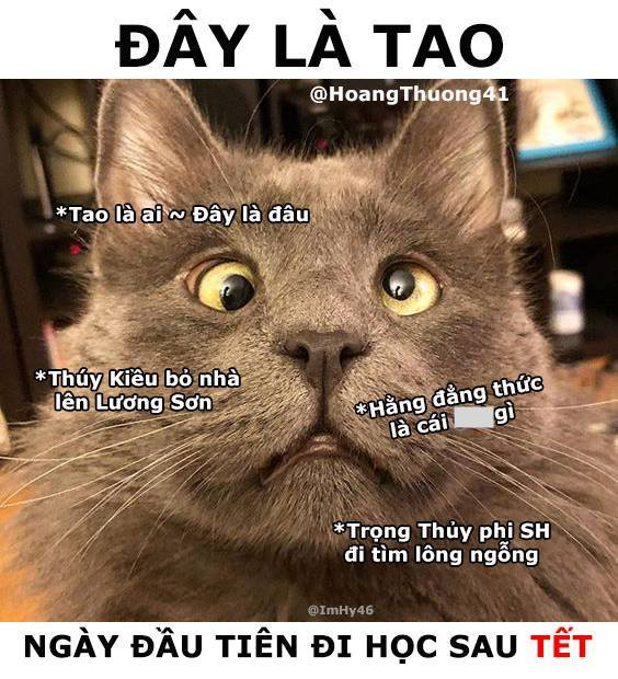 anh che hau qua phu phang sau mot mua tet tha phanh bat chap