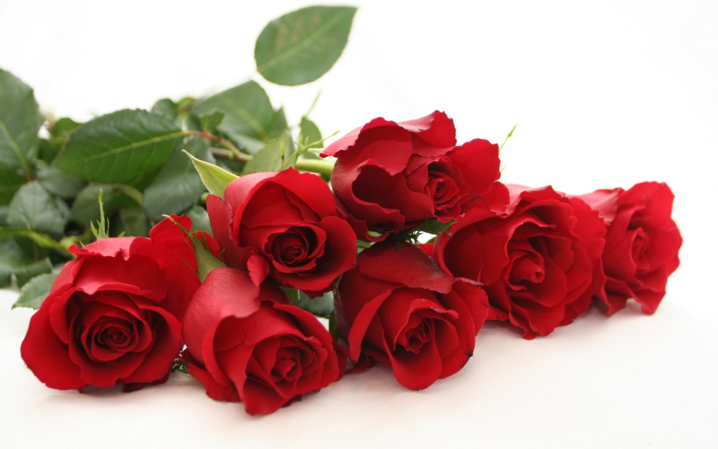 cung di tim nguon goc y nghia ngay valentine 142