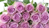 cung di tim nguon goc y nghia ngay valentine 142