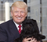 quai thu 20 va nhung phuong tien moi trong dan xe bao ve tt trump