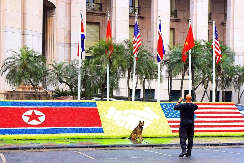 khong chi ngau va de thuong nhung chu cho nghiep vu my con co su nghiep khong phai dang vua dau