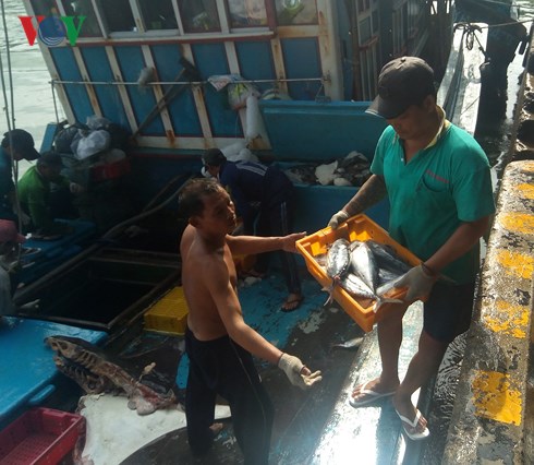 luong thap nhieu lao dong di bien bo len bo chu tau lao dao