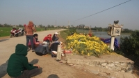nhung nam mo vo danh duoi chan cau long bien