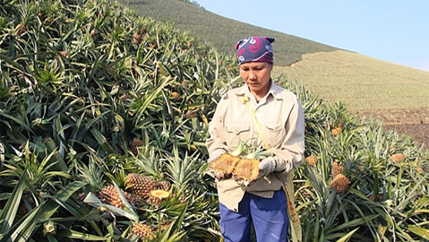 nha may luyen kim o nhiem moi truong bi cat dien dinh chi hoat dong