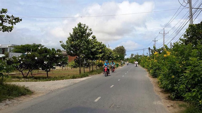 an giang khao sat giam sat ntm