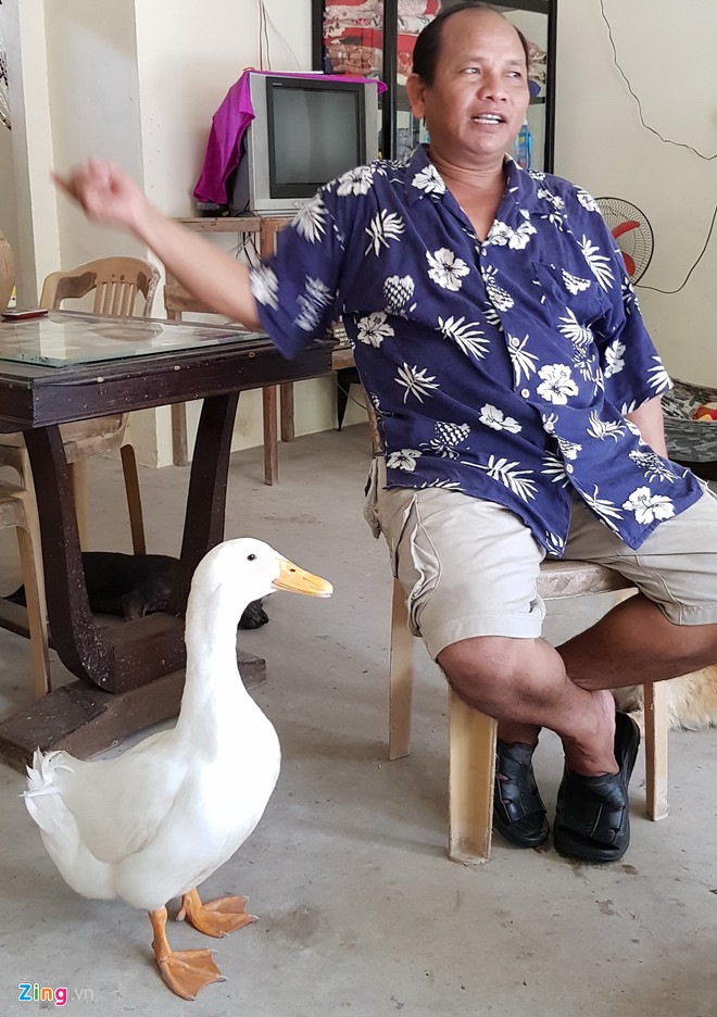 hy huu chuyen con vit theo chu nhu hinh voi bong