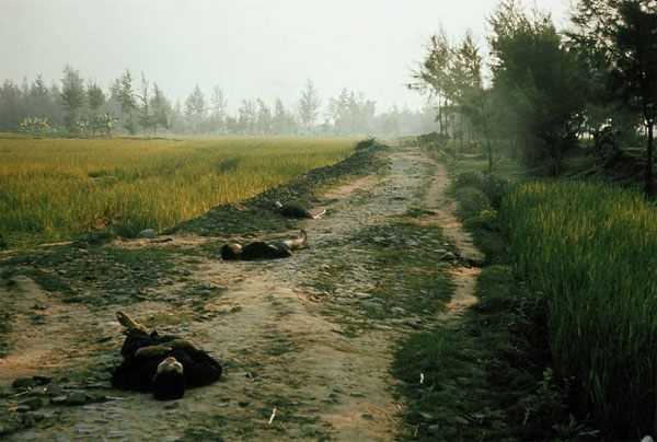 qua khu am anh ve vu tham sat my lai cach day 50 nam