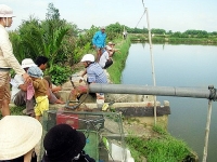 hai phong nghi van ong lao tu vong do bi do thuoc doc vao mieng