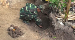 Tá hỏa phát hiện hàng trăm vũ khí nguy hiểm trong vườn nhà