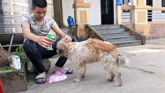 nguoi dan bat khoc khi nhan lai thu cung bi nhom thanh nien trom ban