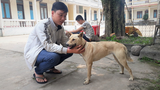 nguoi dan bat khoc khi nhan lai thu cung bi nhom thanh nien trom ban
