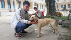 Người dân bật khóc khi nhận lại thú cưng bị nhóm thanh niên trộm bán