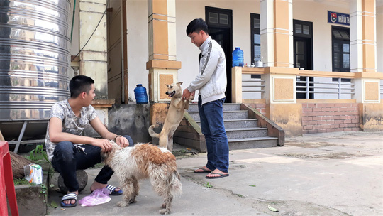 nguoi dan bat khoc khi nhan lai thu cung bi nhom thanh nien trom ban