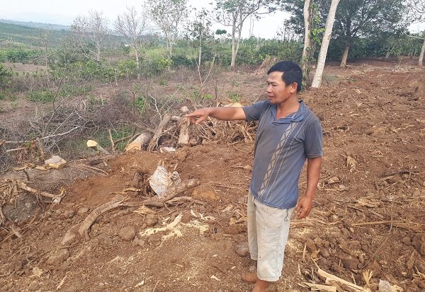 chu cay quai thu o dak lak nguoi ta dua toi sap giay bao ky