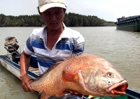 ngu dan da nang cau duoc ca nghi su vang gia tien ty